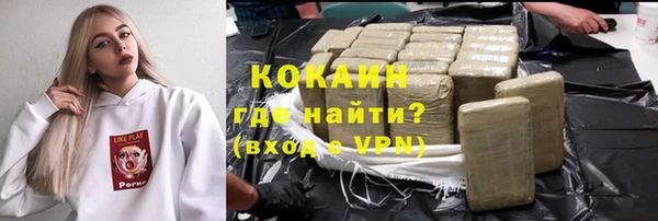 индика Заволжск