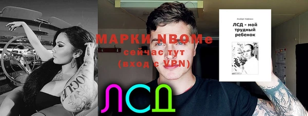 индика Заволжск
