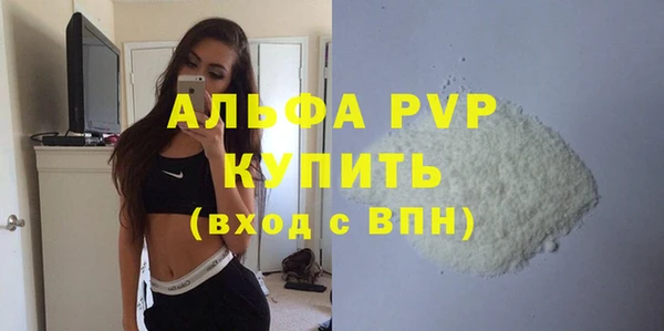 индика Заволжск
