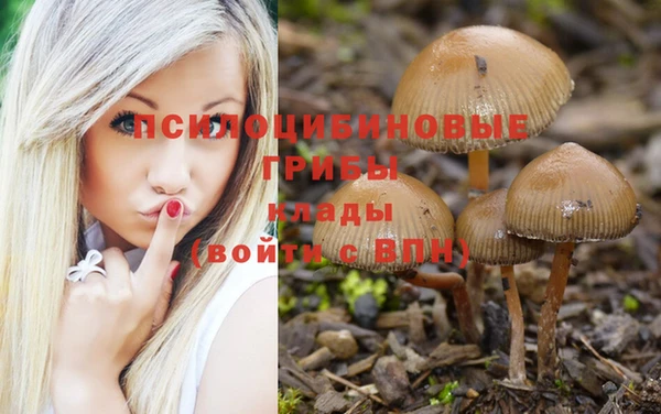индика Заволжск