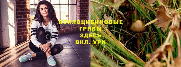 амф Губаха