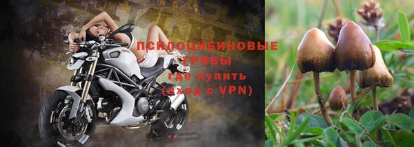 МДПВ Заволжье