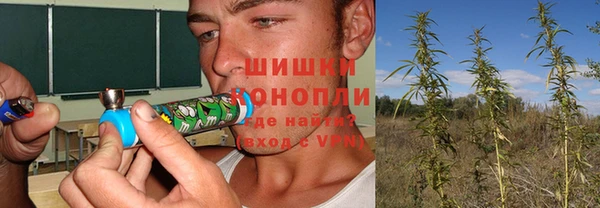индика Заволжск