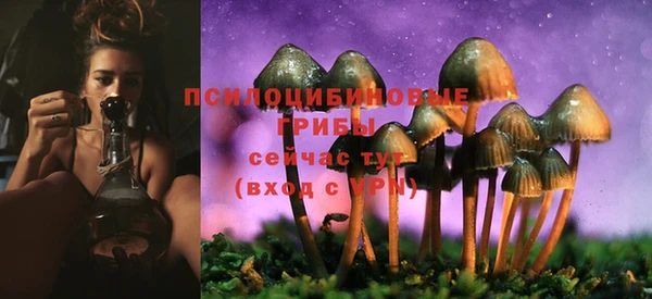 МДПВ Заволжье