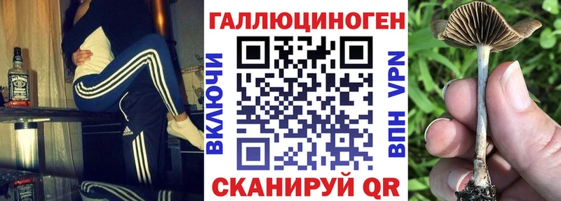 цены   Ирбит  mega рабочий сайт  Псилоцибиновые грибы прущие грибы 
